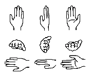 ASL Font: ASL Palm Orientation